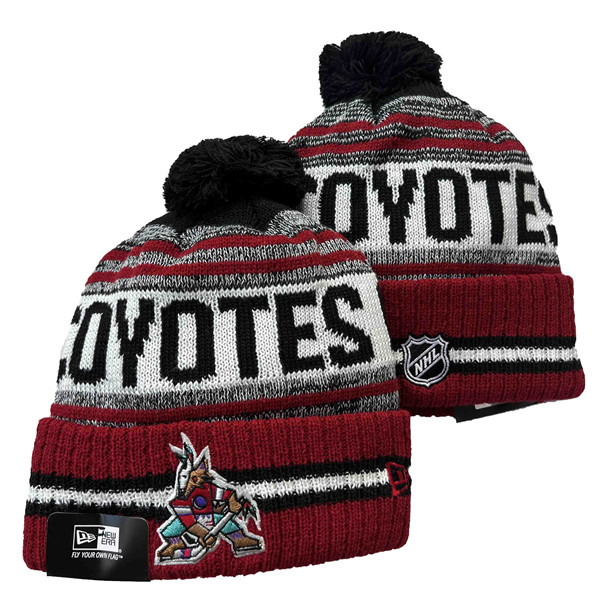 Arizona Coyotes 2025 Knit Hats 002